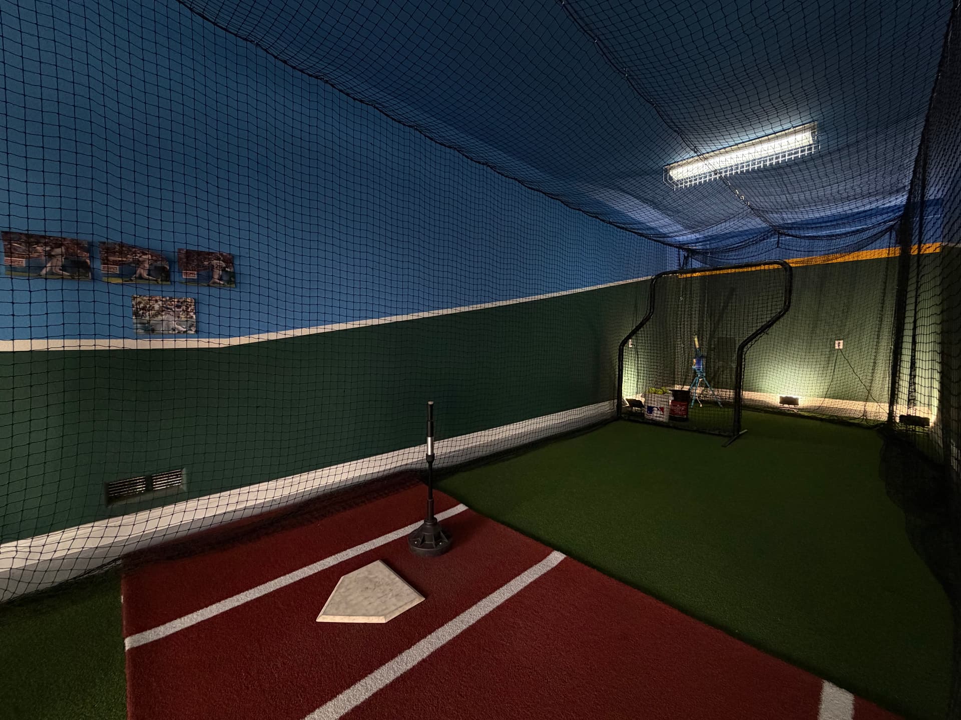 Private batting cage with turf and home plate